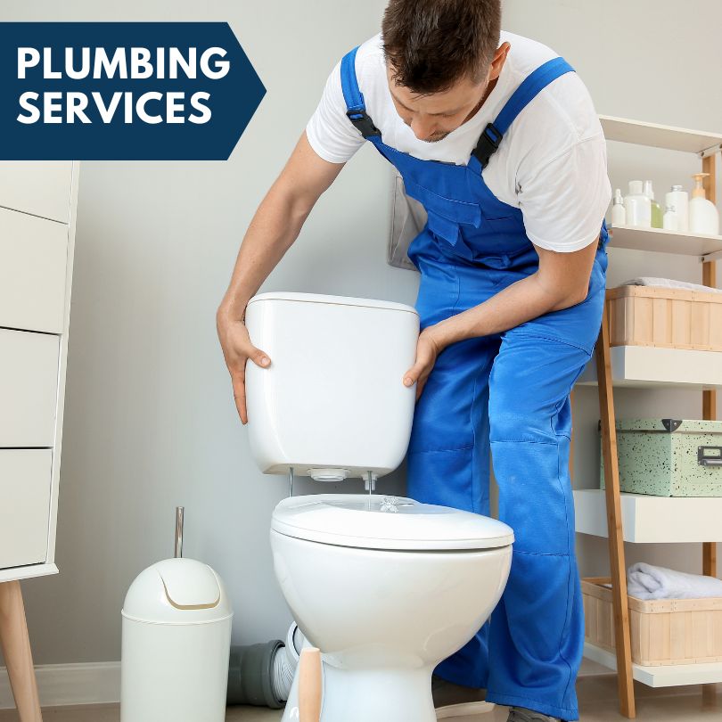 Plumbing Company in Isle Saint George, OH